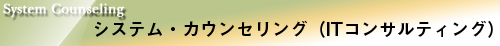 システム・カウンセリング(ITコンサルティング)